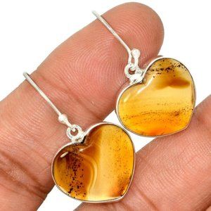 Montana Agate Earrings 925 Solid Sterling Silver